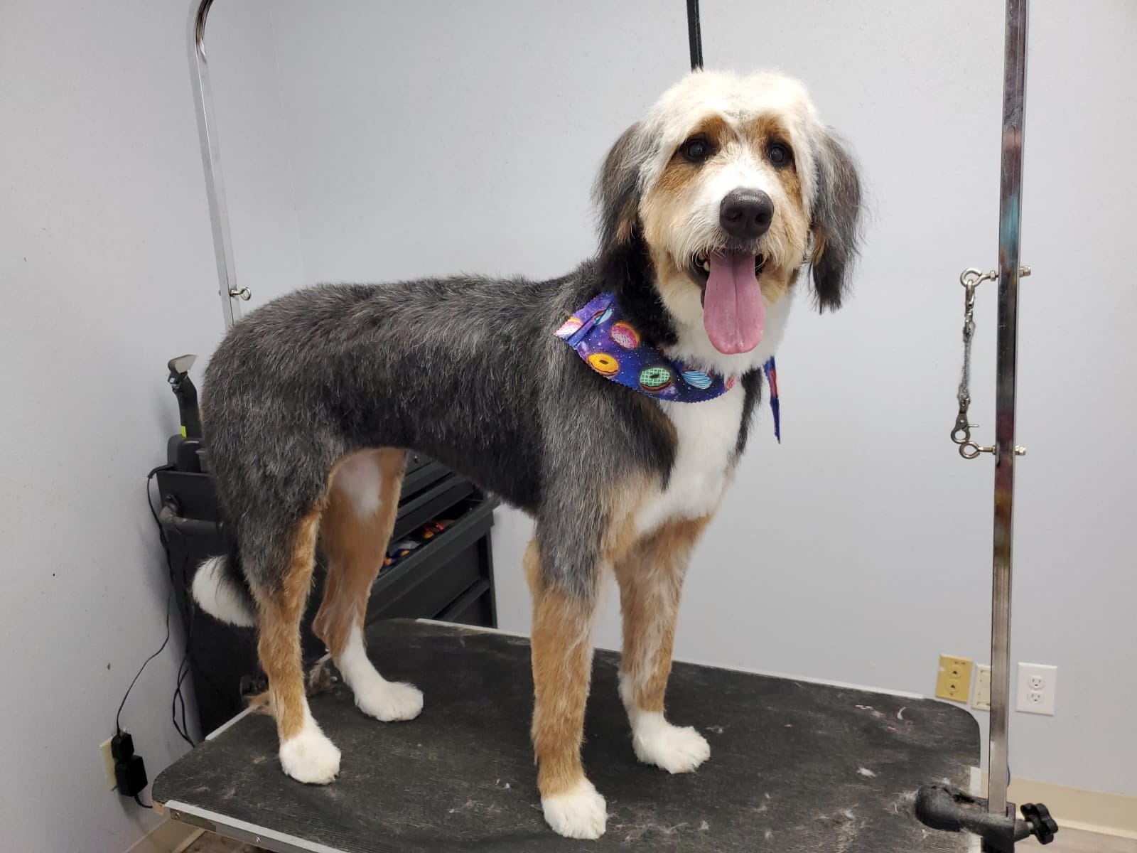 Rider after groom