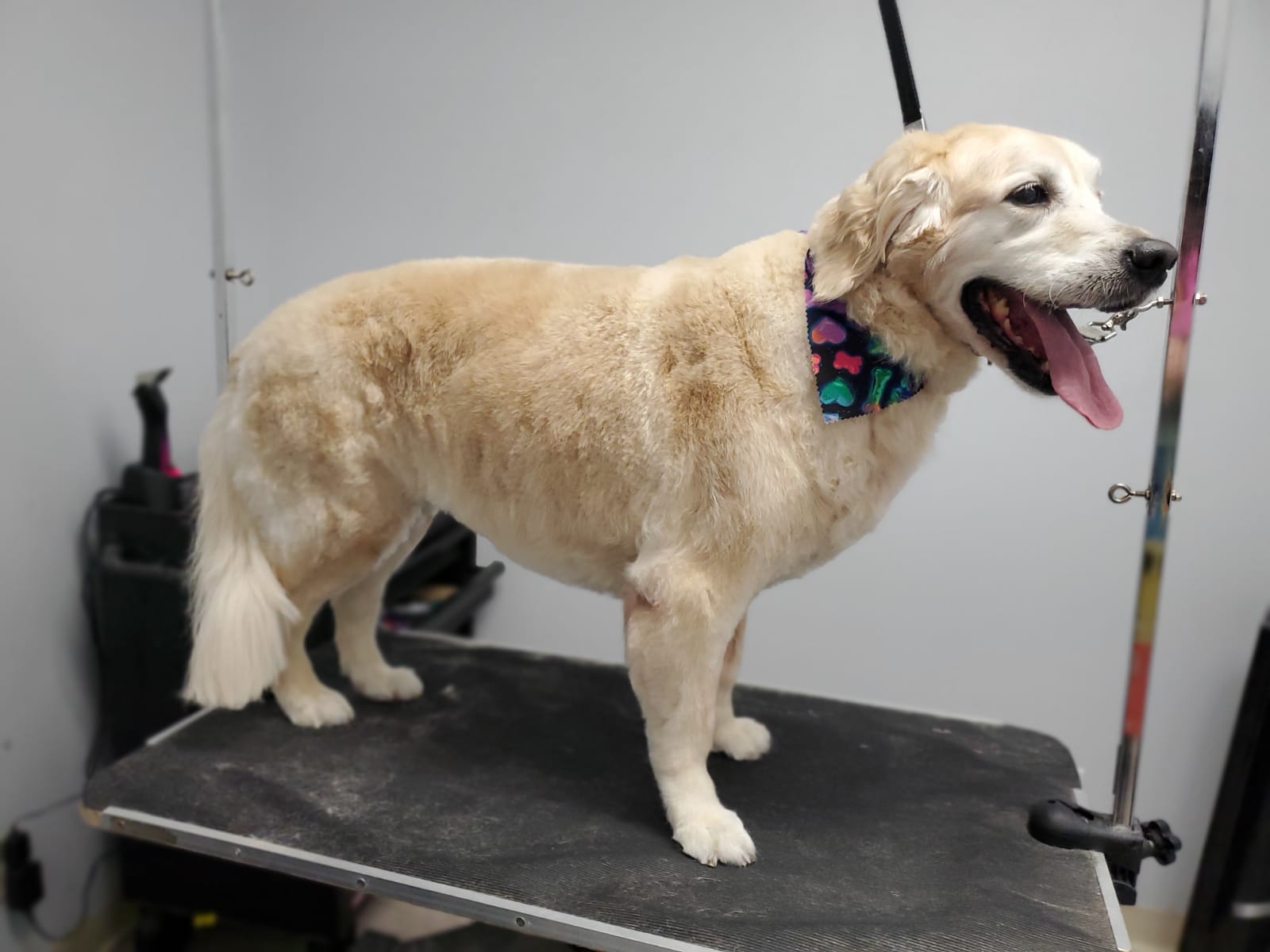 Sky after groom