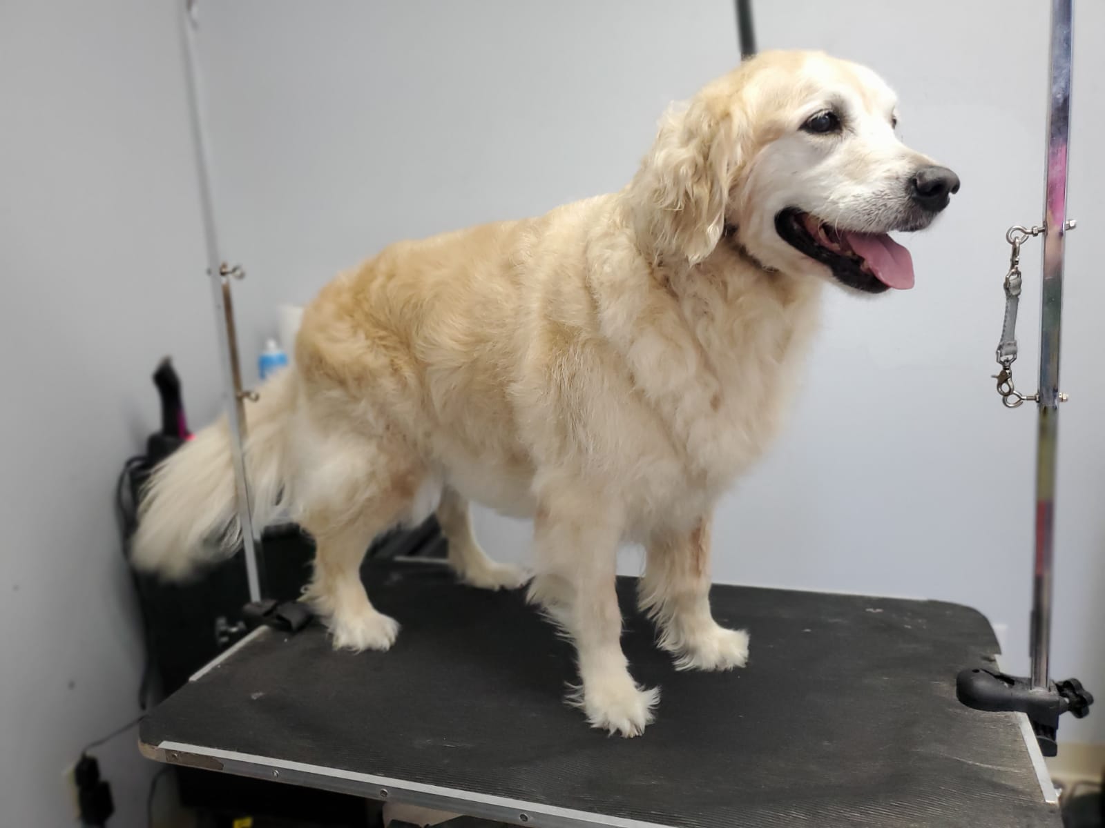 Sky before groom